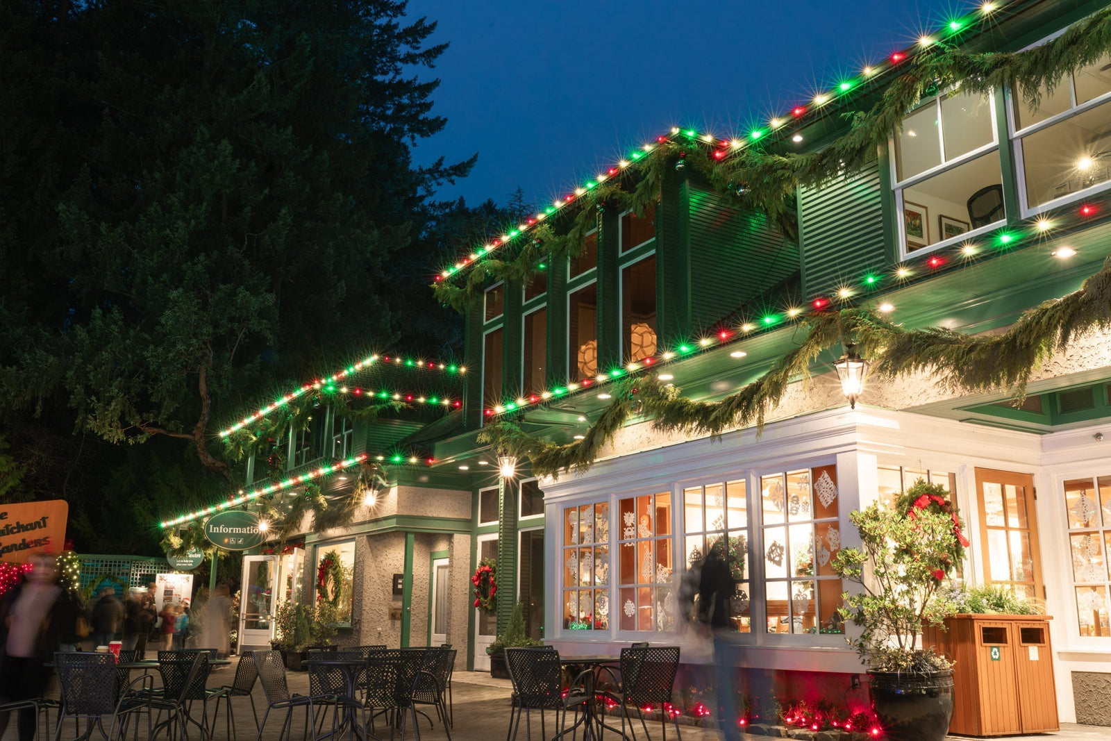 Red, green, and white Christmas lights with garland display