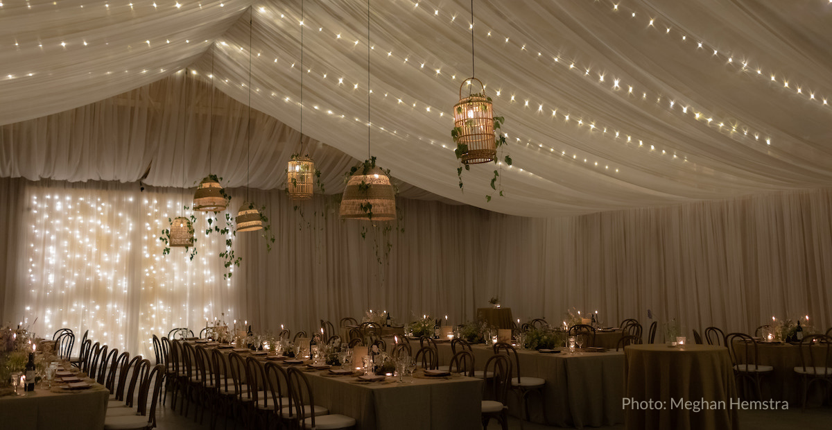 G30 warm white lights in white tent