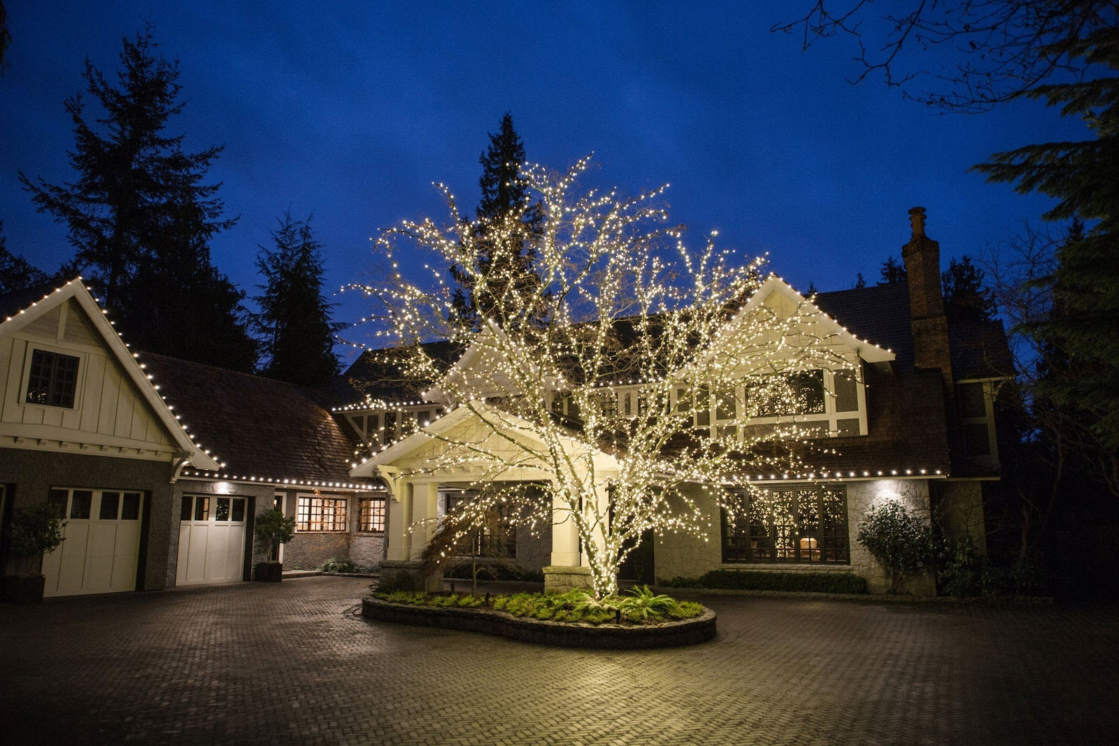 Warm white Mini Lights and G30 bulbs