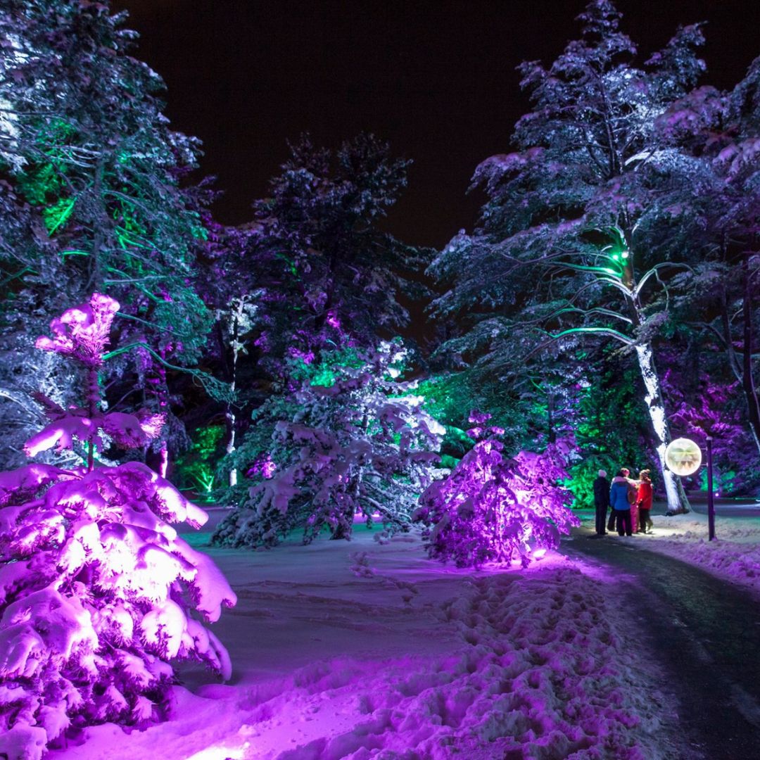 Chromaglow Pro RGBW Floodlight