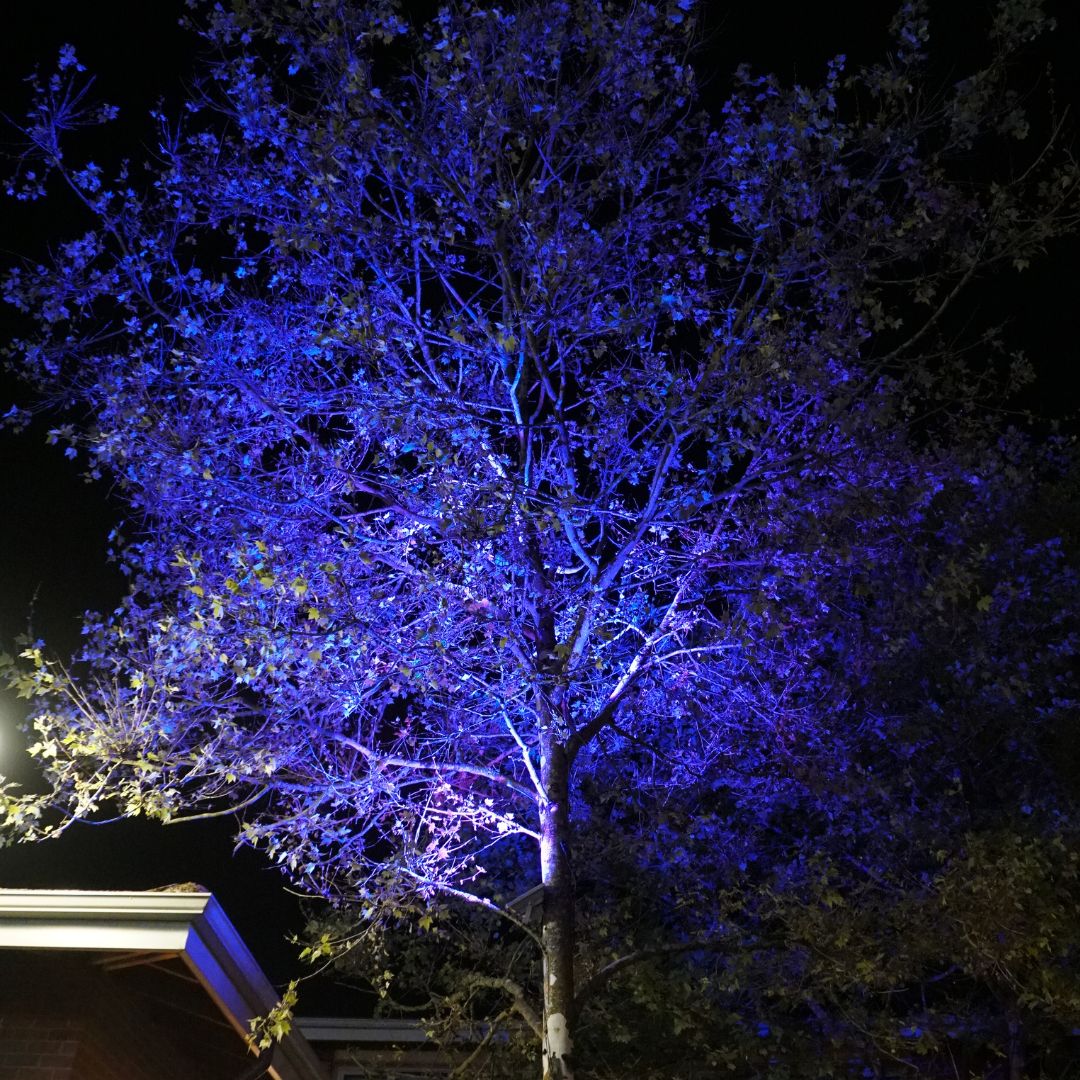 Chromaglow Pro RGBW Floodlight