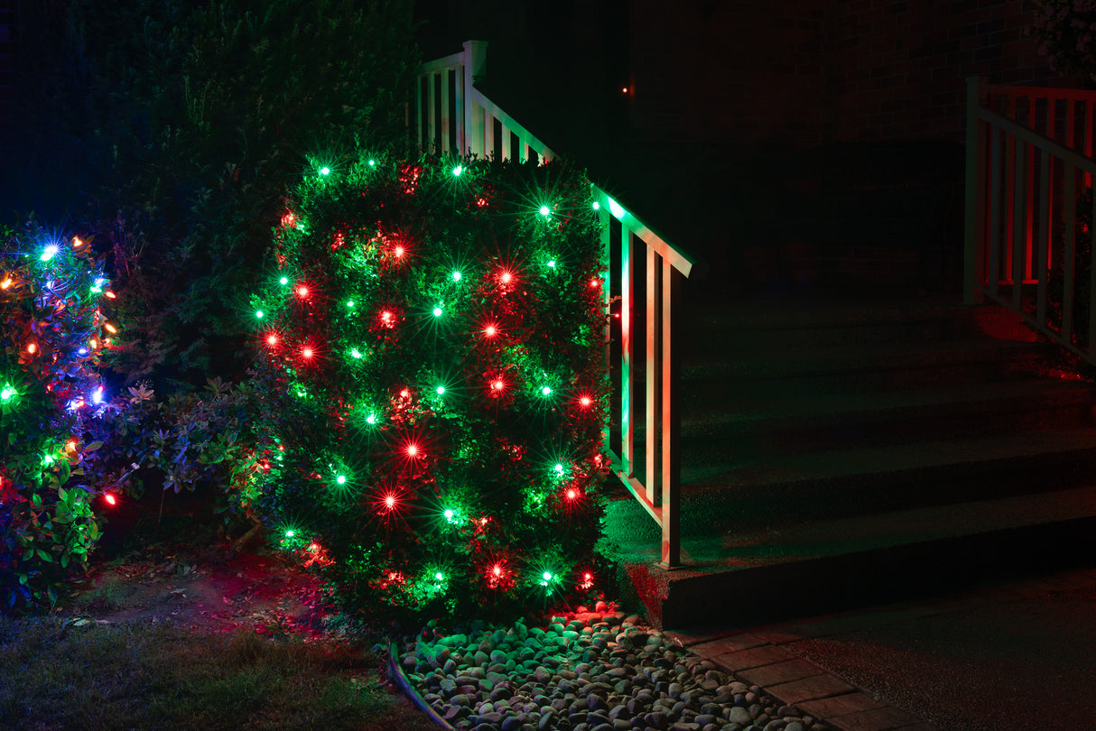 Themed Mini Lights - Griswold (25 ft)