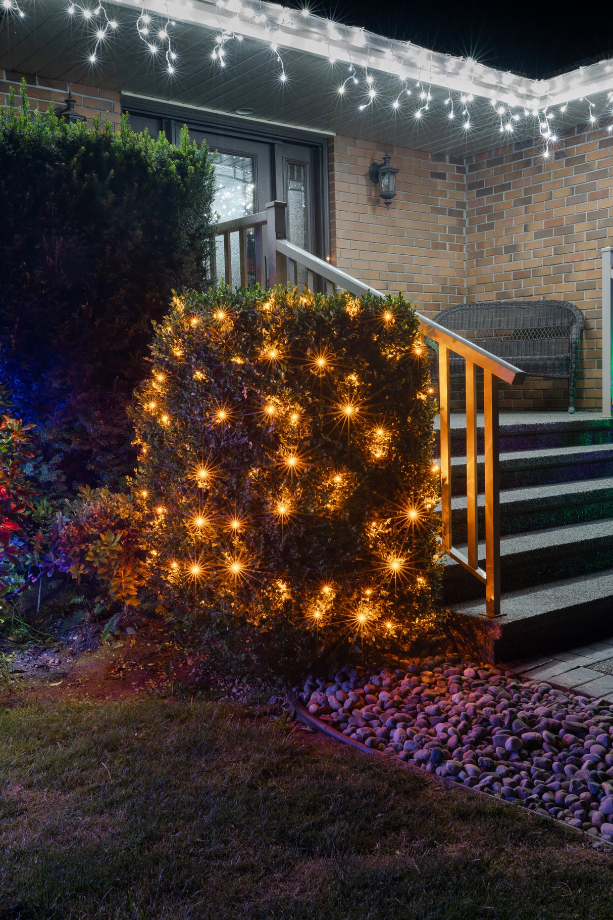 Steady Mini Lights - Green Wire - Standard Plug (Case of 12) Pre-order