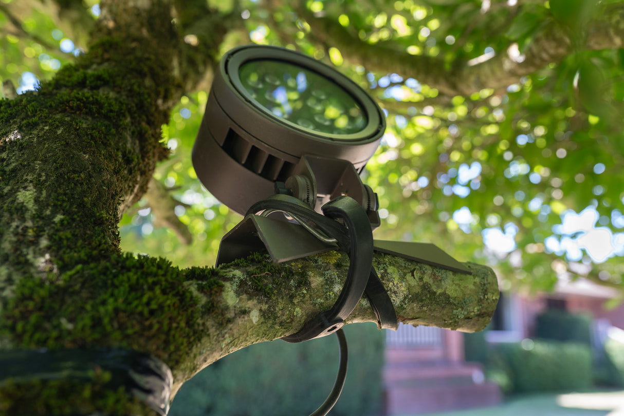 Rubber Bungee Cord - 24 in (10 pk)