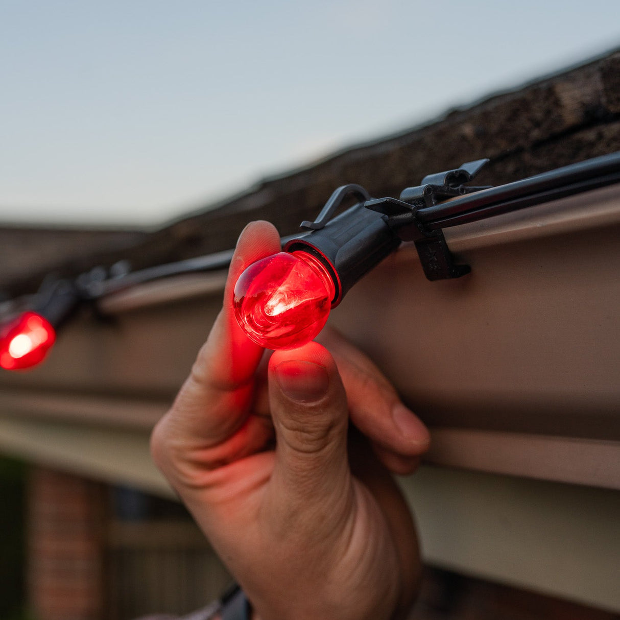 G30 Bulbs (Pack of 25)