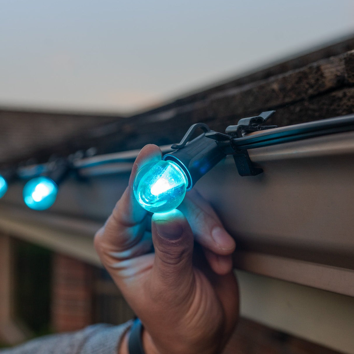 G30 Bulbs (Pack of 25)