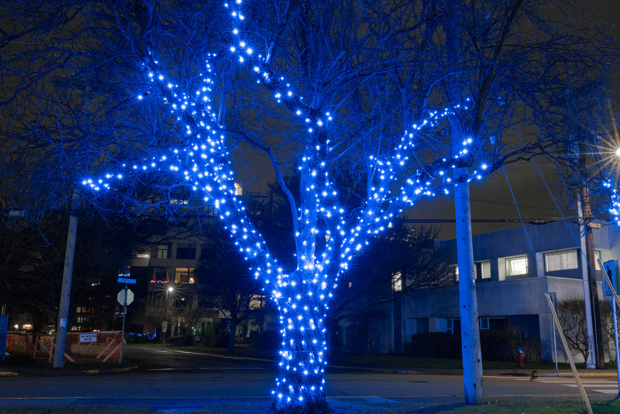 Steady Mini Lights - Green Wire - Standard Plug (Case of 12) Pre-order