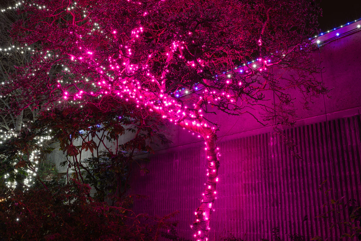 Steady Mini Lights - Green Wire - Standard Plug (Case of 12) Pre-order