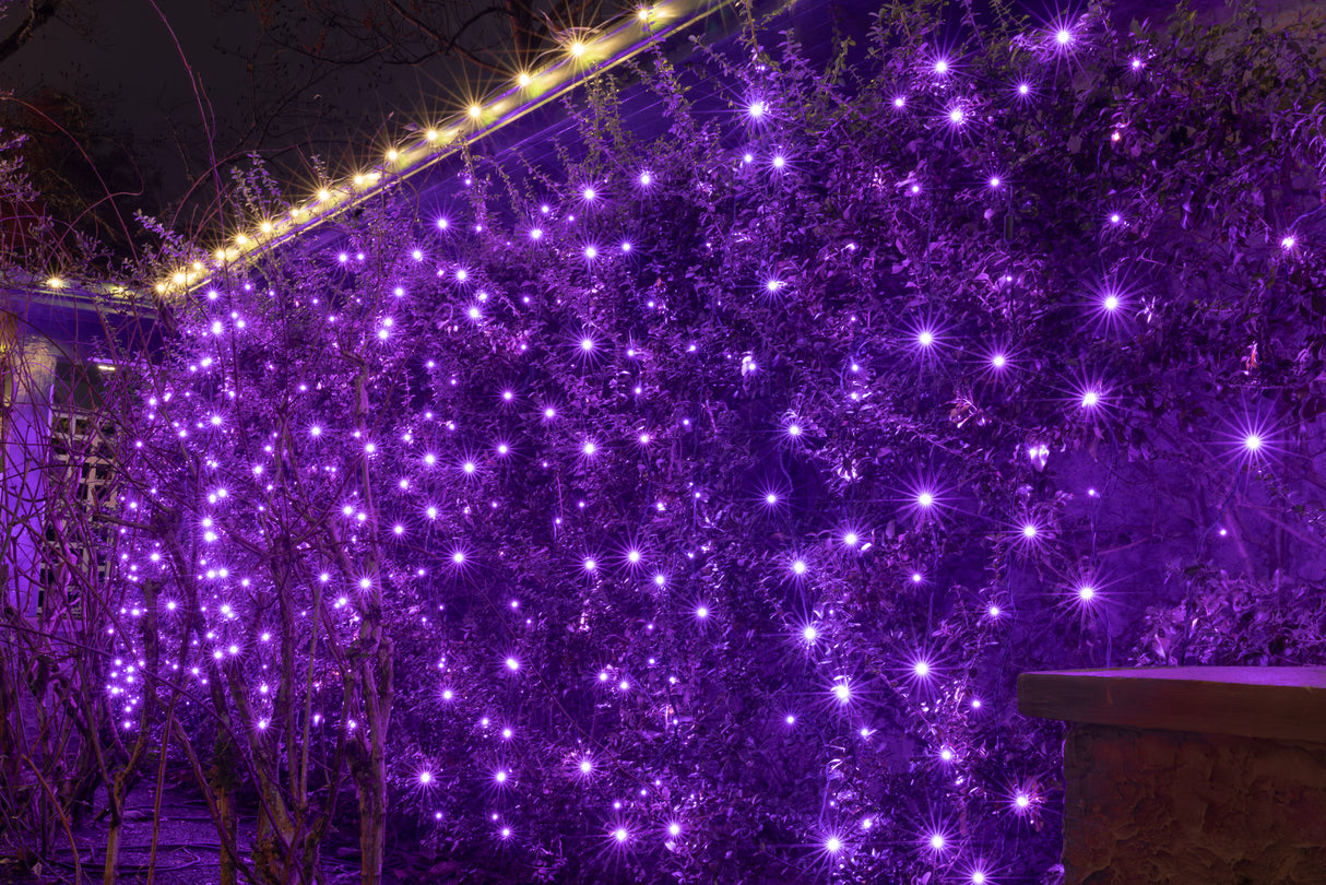 Steady Mini Lights - Green Wire - Standard Plug (Case of 12) Pre-order