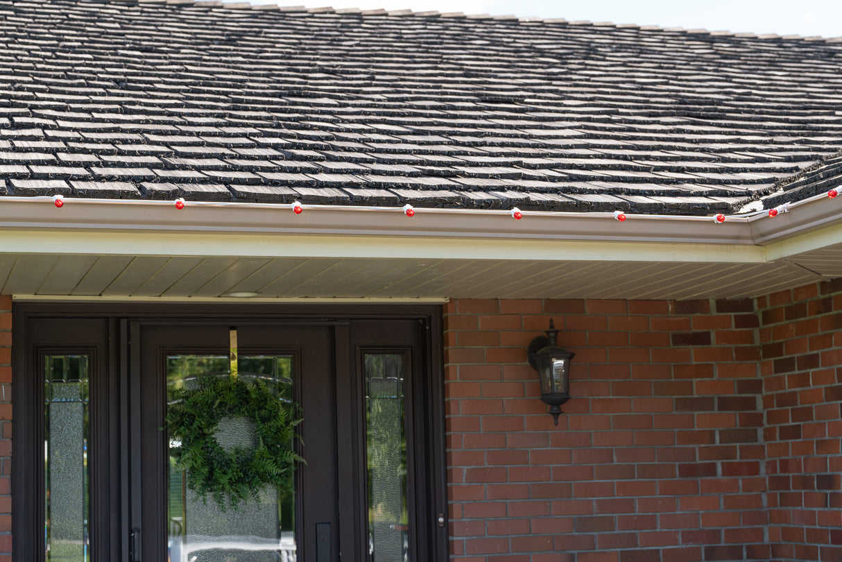 E17 Spool (500 ft) Pre-order