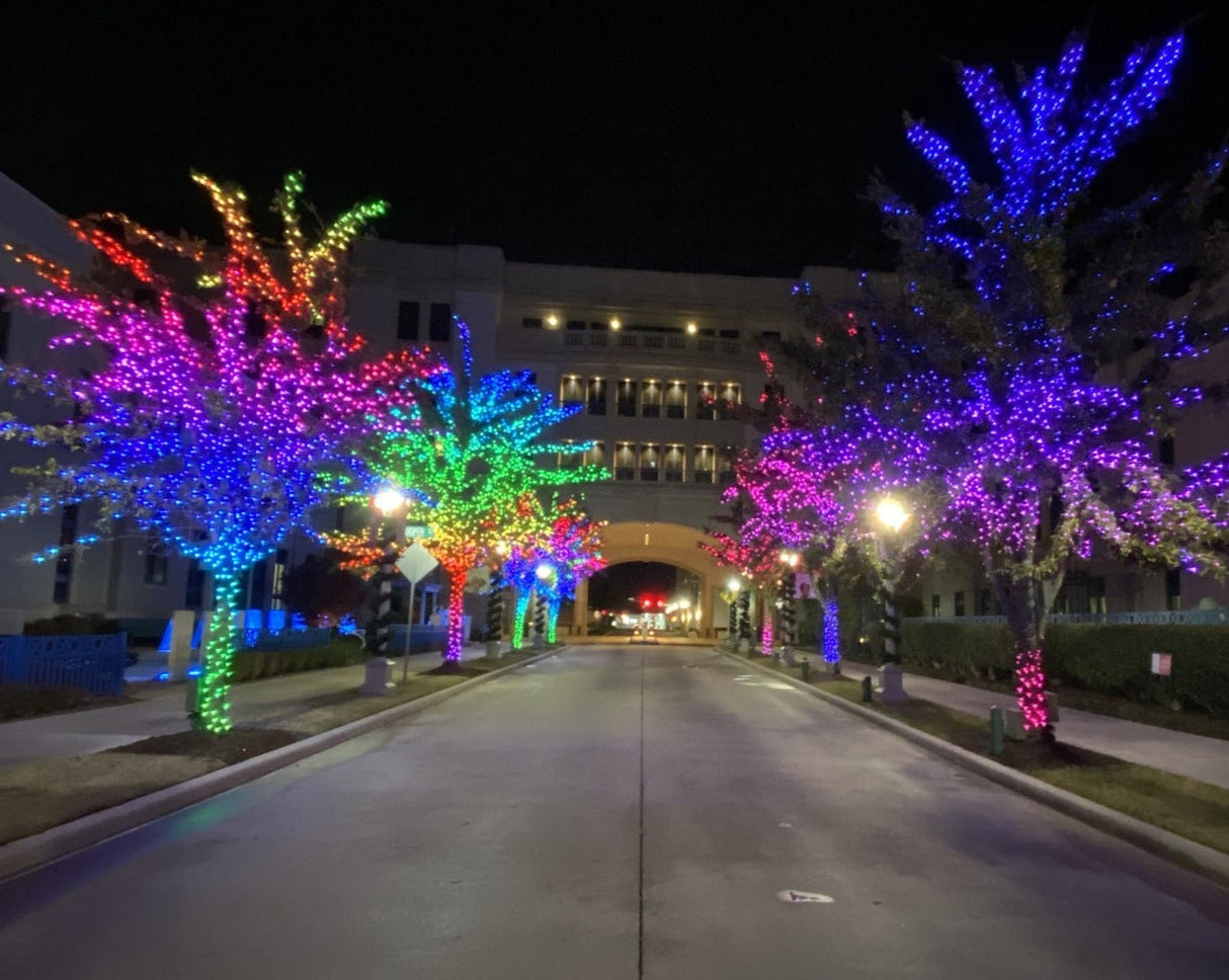 Twinkly PRO Single Line String, 250 light, RGBW - Preorder