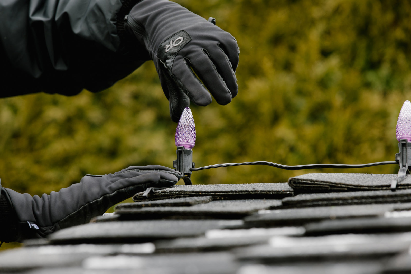 Gloved hands bulbing a purple C9 into ridge roof