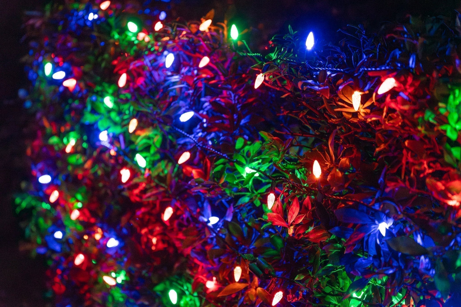 Lighting Up Summer Festivals: A Municipal Guide