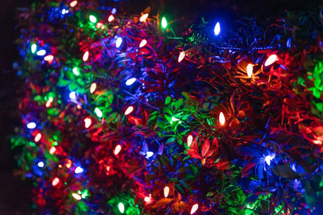 Lighting Up Summer Festivals: A Municipal Guide