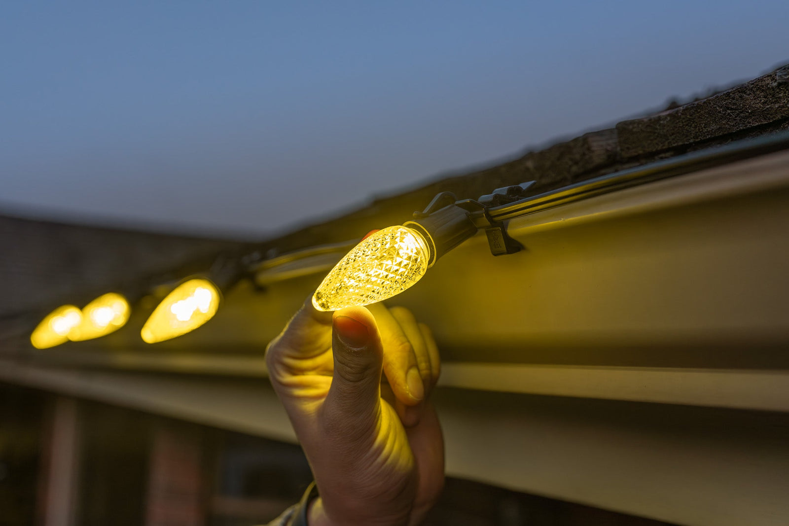 Set Your Holiday Light Business Up to Hit $1 Million