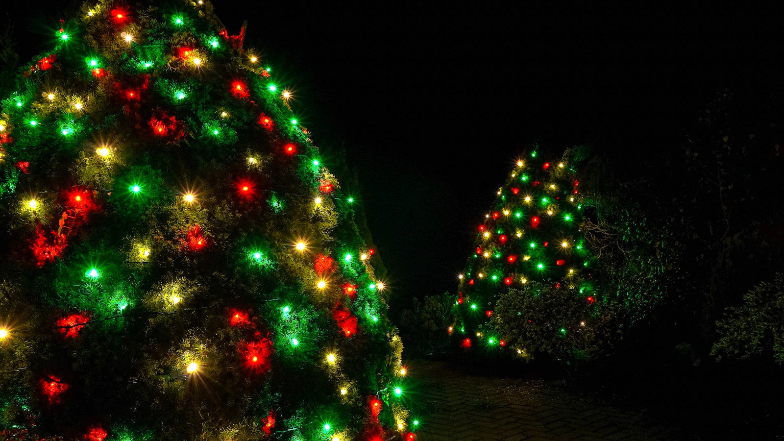 Green, warm white, red G30 bulbs in Christmas tree