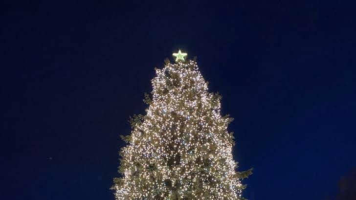 Giant Warm White Christmas tree with a star on top