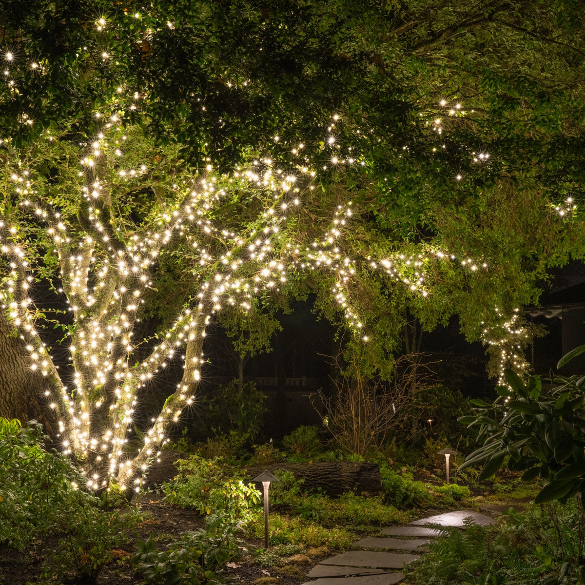 Spring Lighting – Big Star Lights