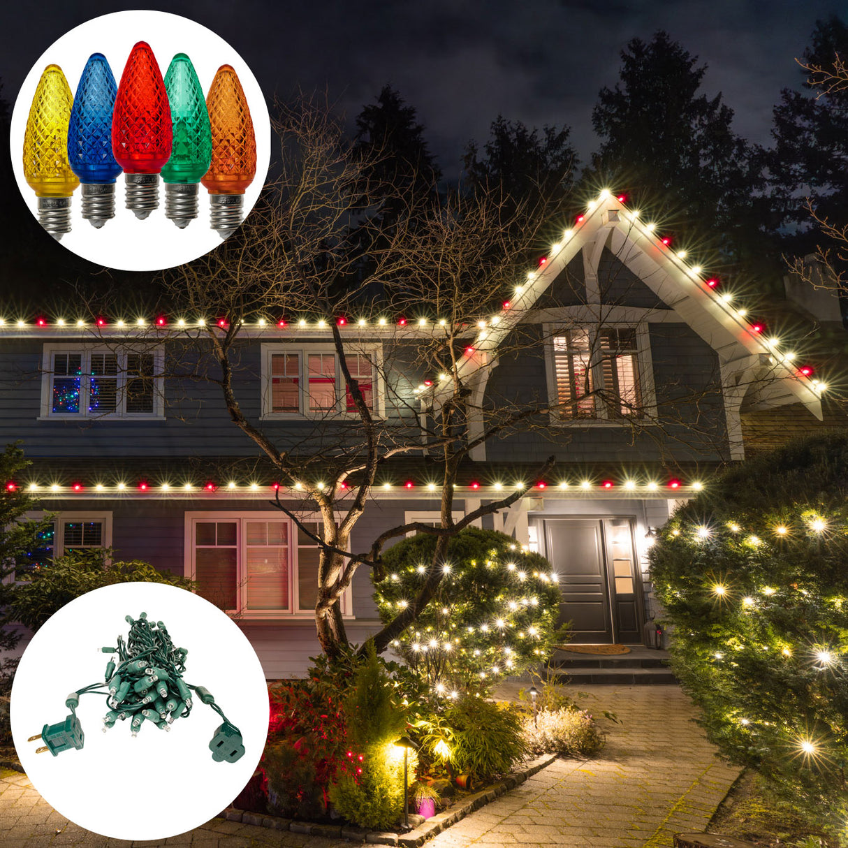 Pro Starter Bundle (C9 Bulbs + Standard Plug Mini Lights)