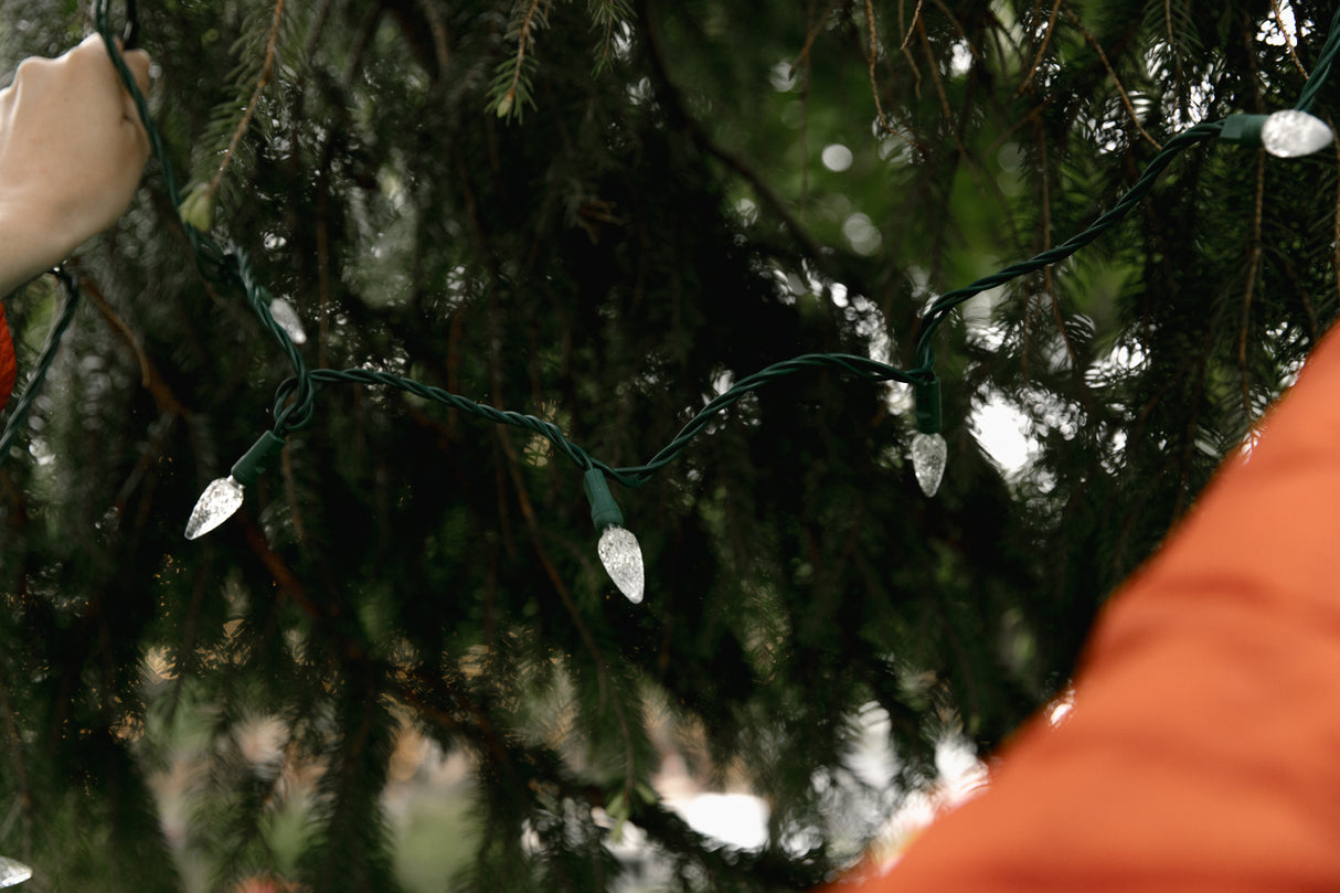 C6 String Lights - Green Wire