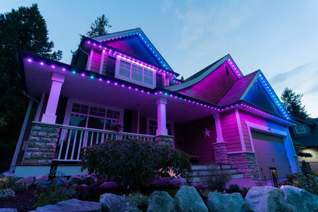 Chromaglow Pro 5 Home Starter Bundle