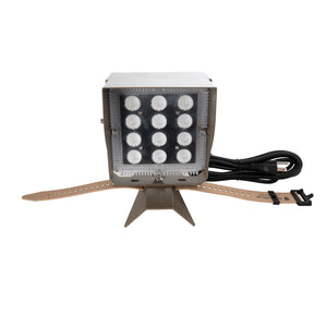 Chromaglow Pro Floodlight with Strap