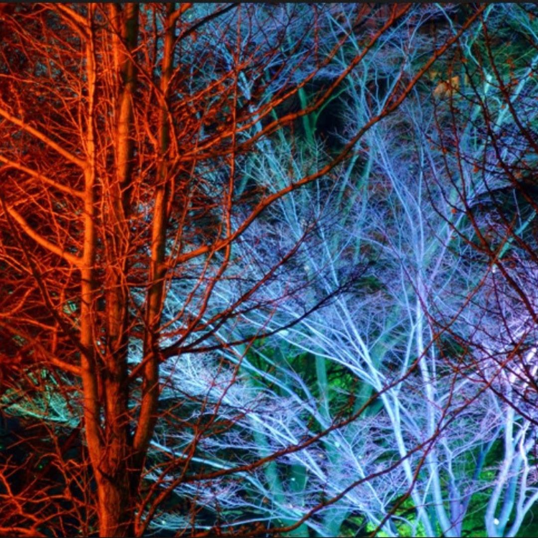 Chromaglow Pro RGBW Floodlight