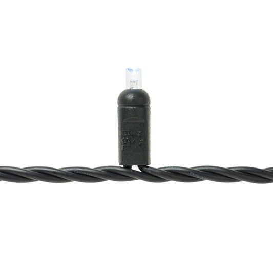 Steady Mini Lights - Black Wire (20 LED)