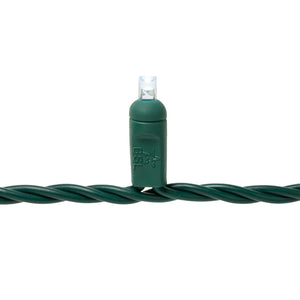 Twinkle Mini Lights - Green Wire - Bulk