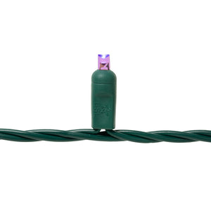 Steady Mini Lights - Green Wire - Standard Plug (Case of 12) Preorder