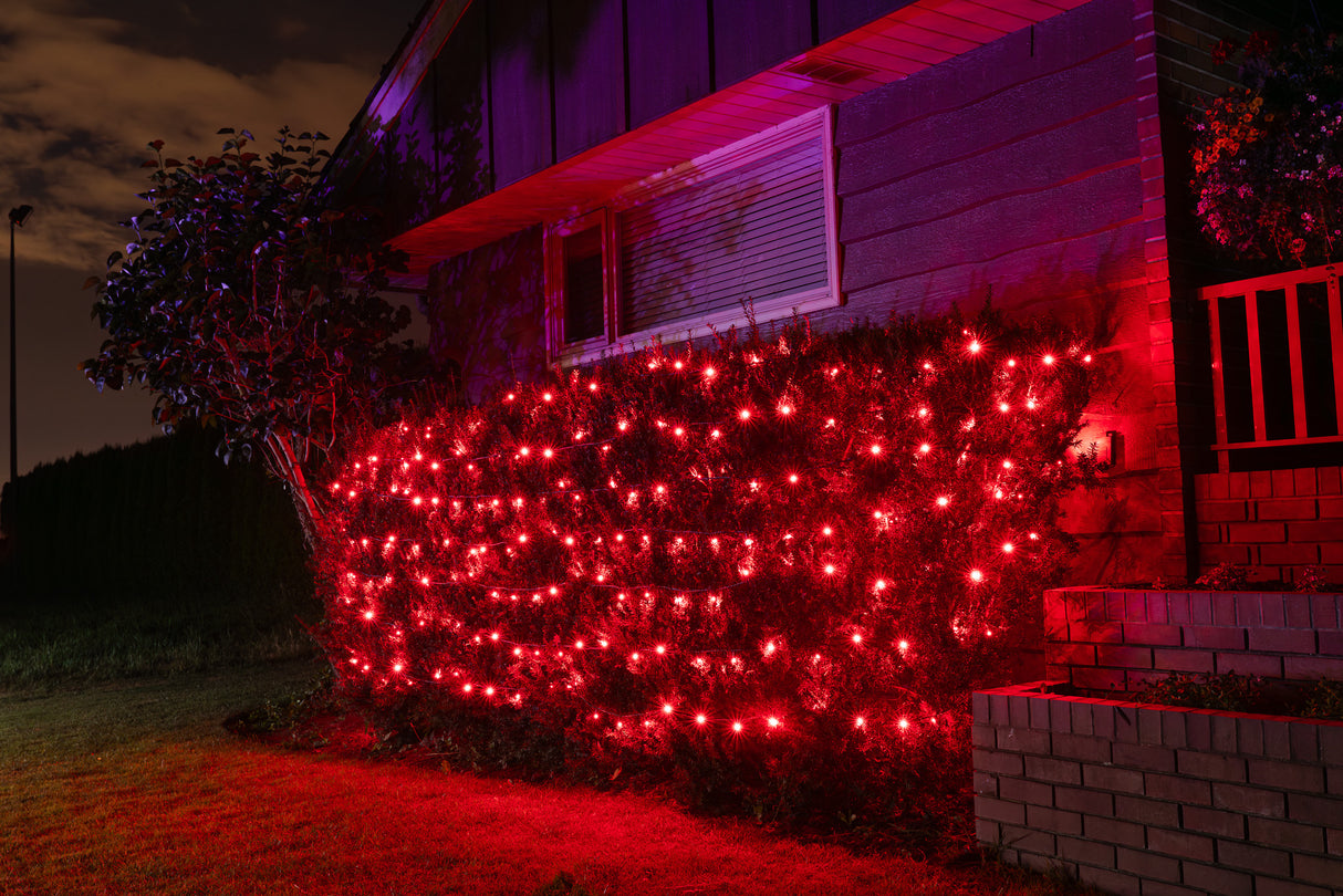 Steady Mini Lights - Green Wire (25 ft)