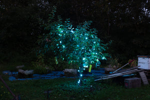 Steady Mini Lights - Green Wire (25 ft)