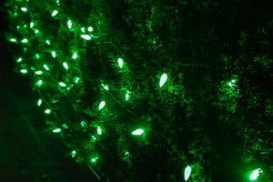 C6 String Lights - Green Wire