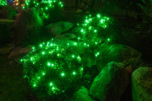 Steady Mini Lights - Green Wire (25 ft)