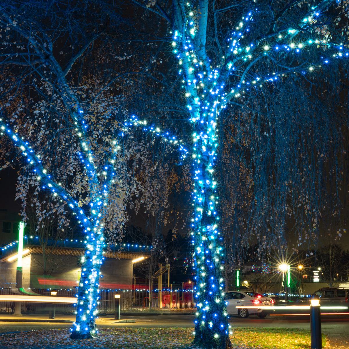 Themed Mini Lights Frozen 2 (25 ft) Big Star Lights