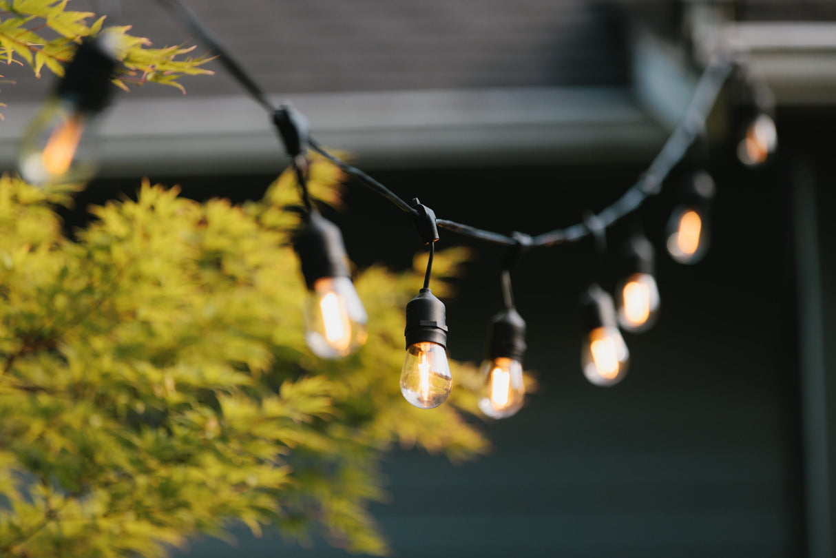 Summer Lighting Sample Kit