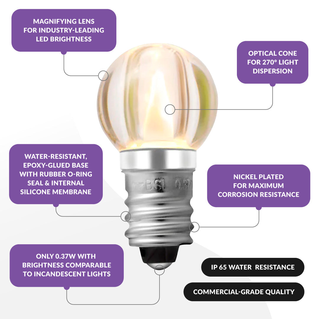 G20 Smooth Bulb (Bulk)