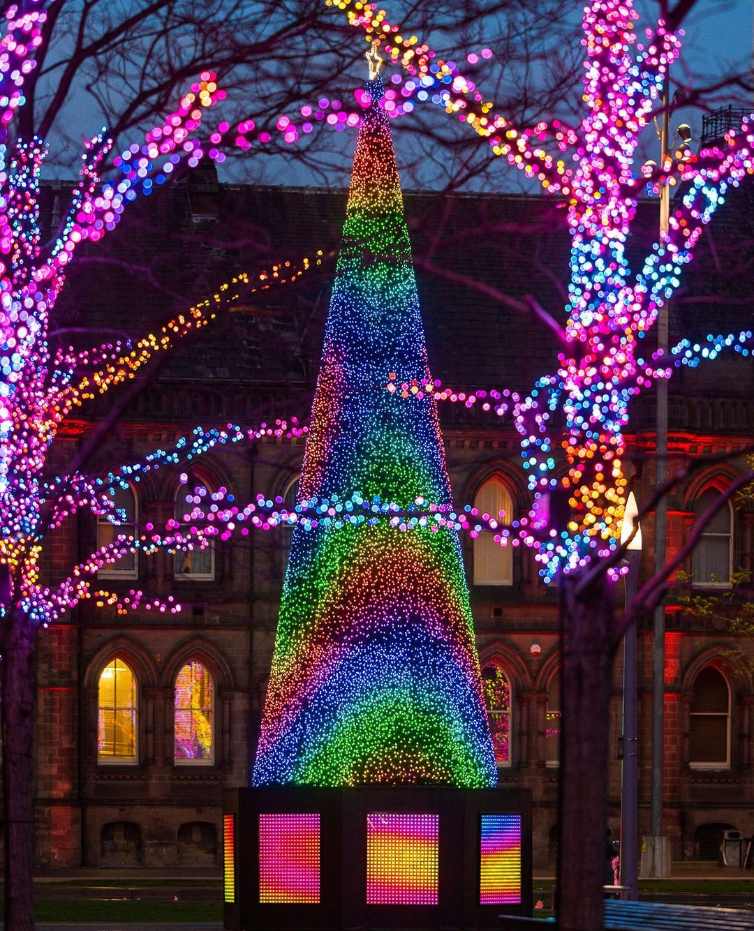 Big Star Lights Canada