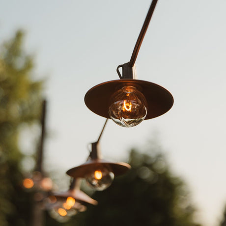 Patio Kit (Bronze Wire + Shades)